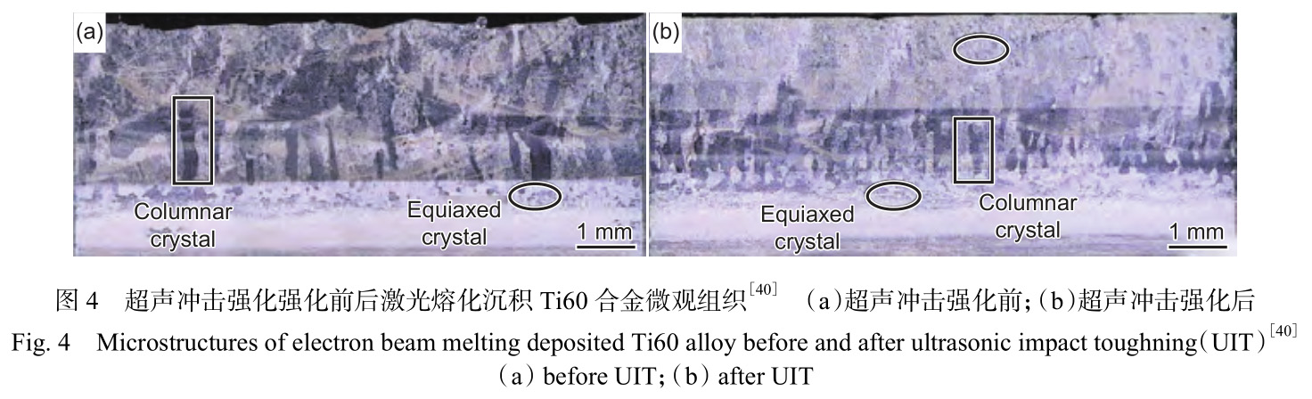 1730880015607166.jpg 4.jpg