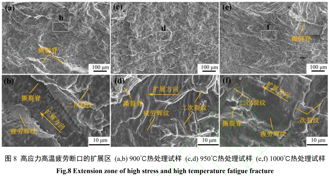 1738931285513563.png 截圖20250207201926.png